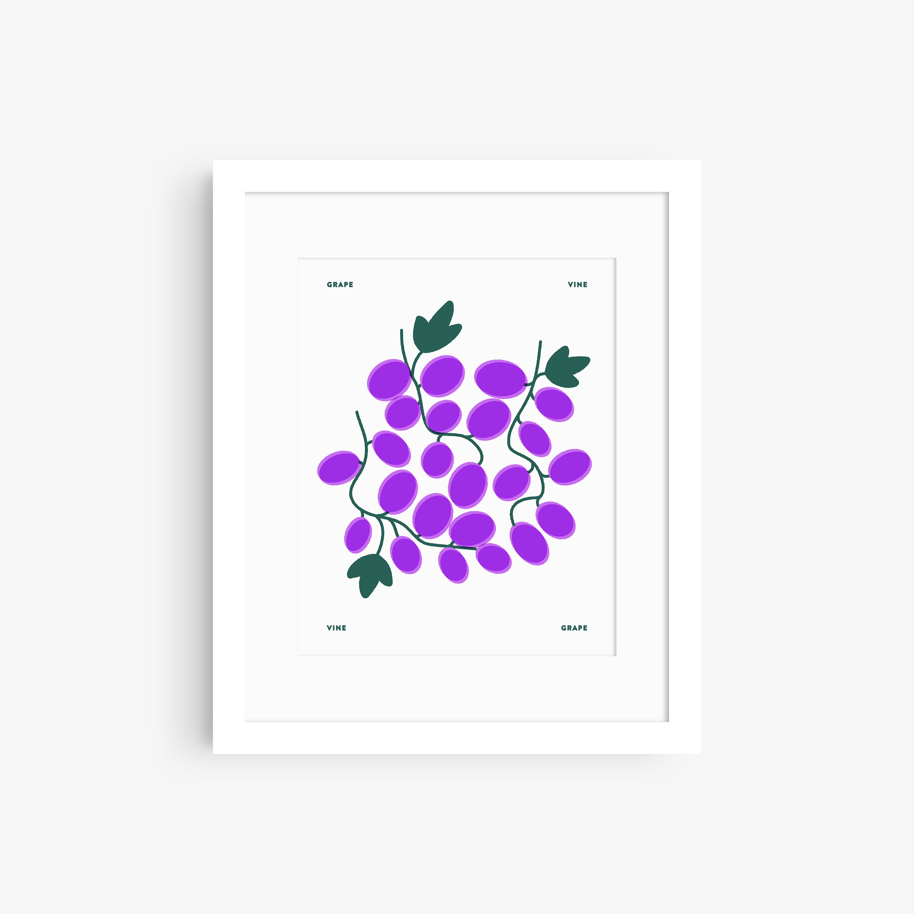 Grape Vine Print
