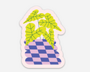 Funky Alocasia Sticker